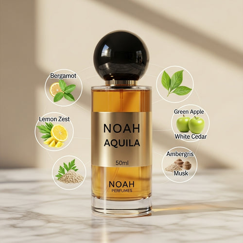 Aquila – Nearest Match: Eagle by Khabib